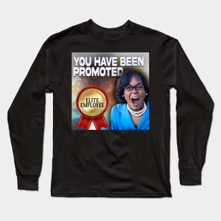 You have been promoted Long Sleeve T-Shirt